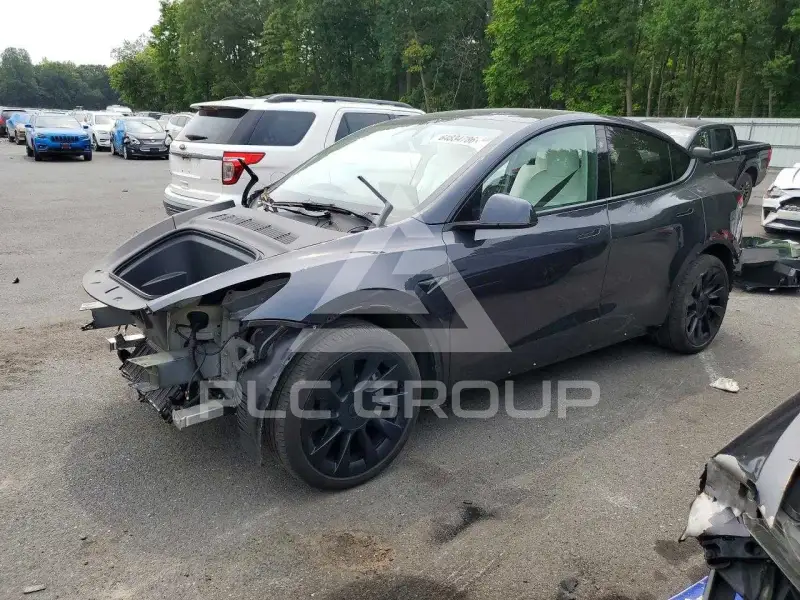 2025 Tesla Model Y фото