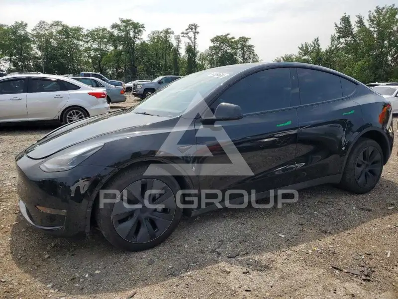 2025 Tesla Model Y photo