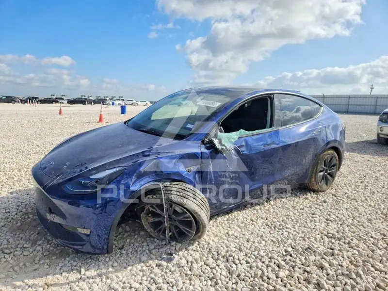 2025 Tesla Model Y photo