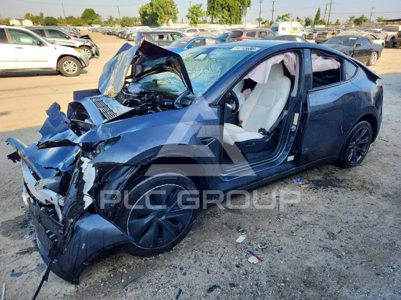 2025 Tesla Model Y photo