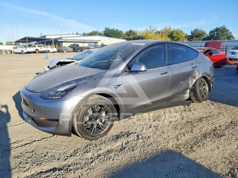 2025 Tesla Model Y photo