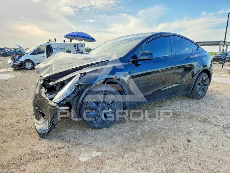 2025 Tesla Model Y photo