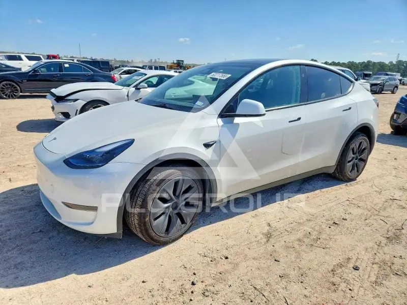 2025 Tesla Model Y photo