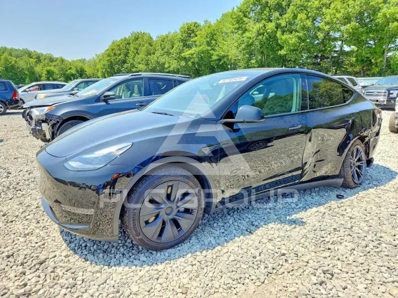 2025 Tesla Model Y фото