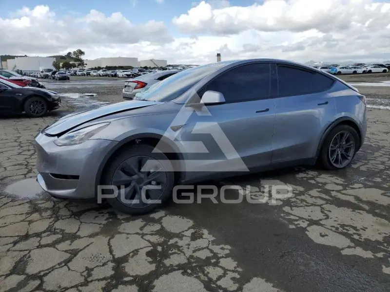 2025 Tesla Model Y photo