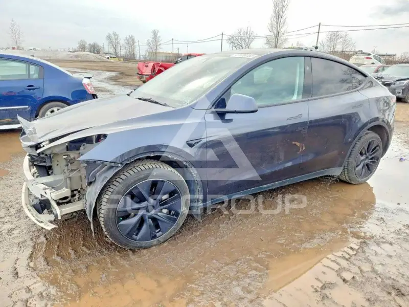 2025 Tesla Model Y фото