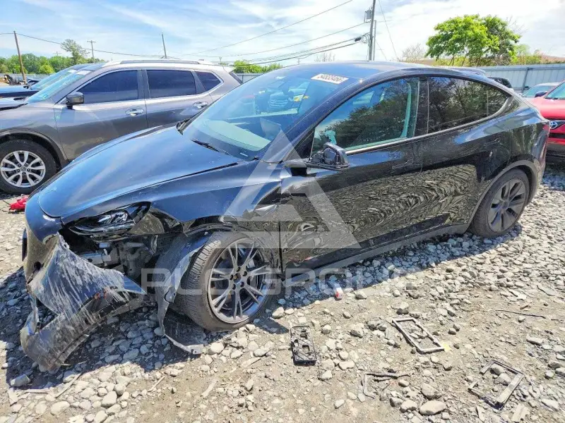 2025 Tesla Model Y фото
