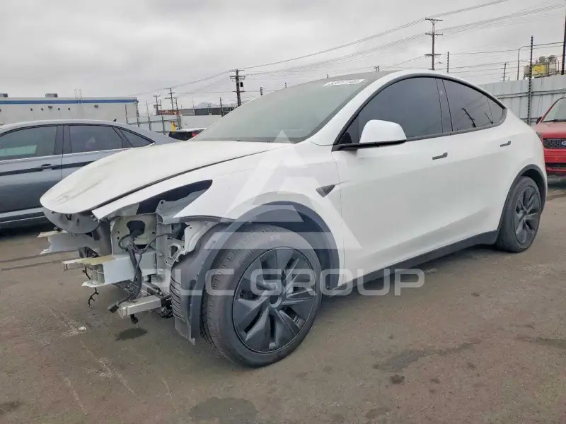 2025 Tesla Model Y photo