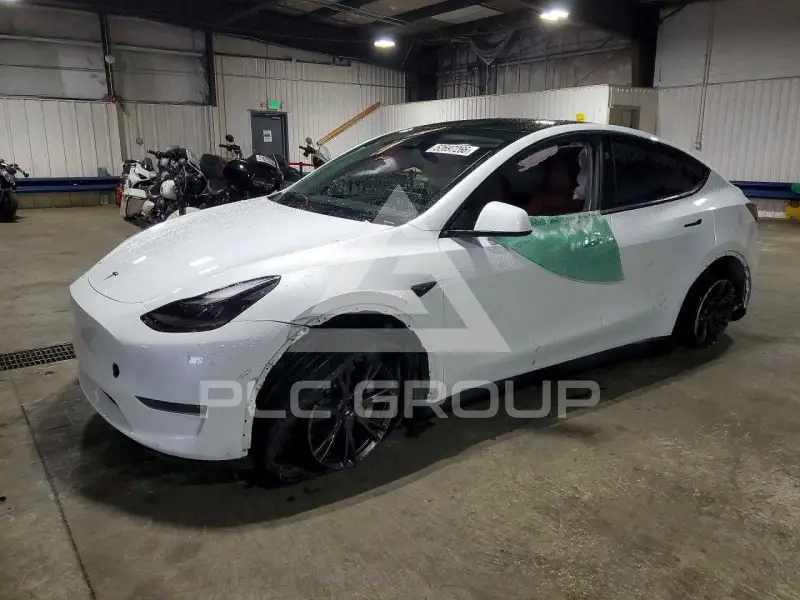 2025 Tesla Model Y photo