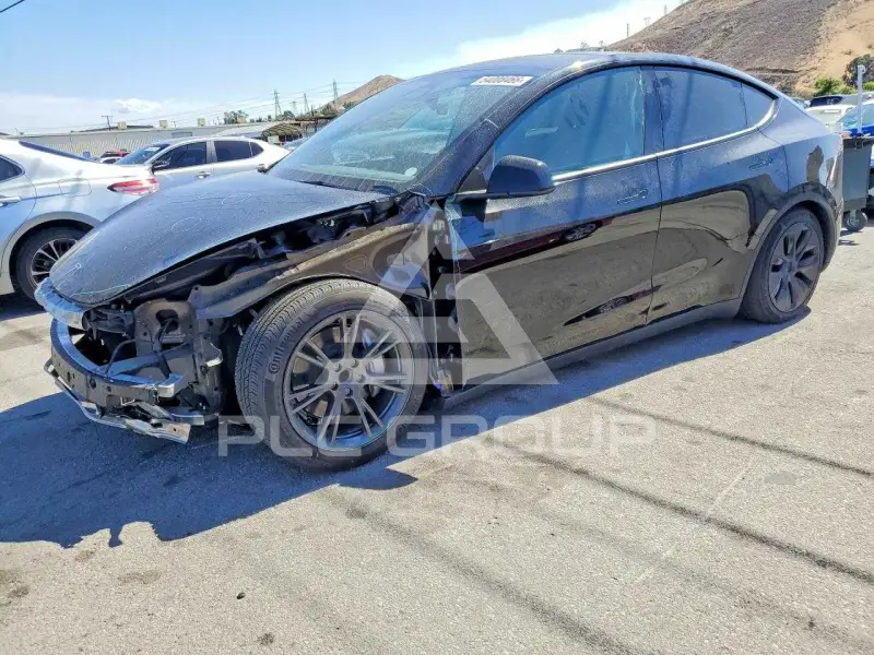 2025 Tesla Model Y photo