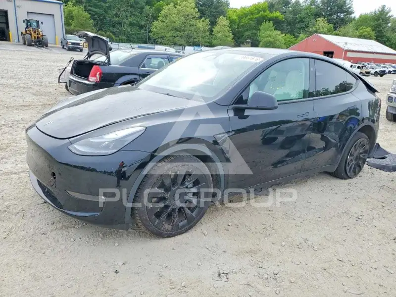 2025 Tesla Model Y photo