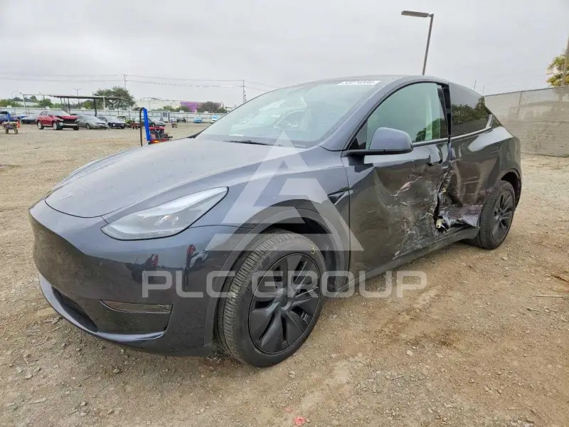 2025 Tesla Model Y photo