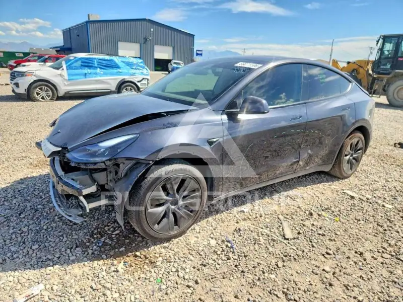 2025 Tesla Model Y фото