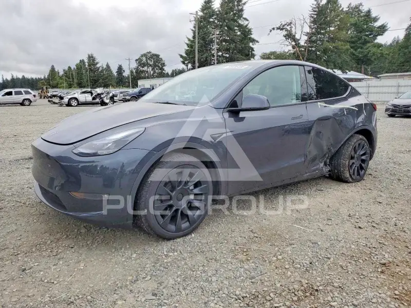 2025 Tesla Model Y фото