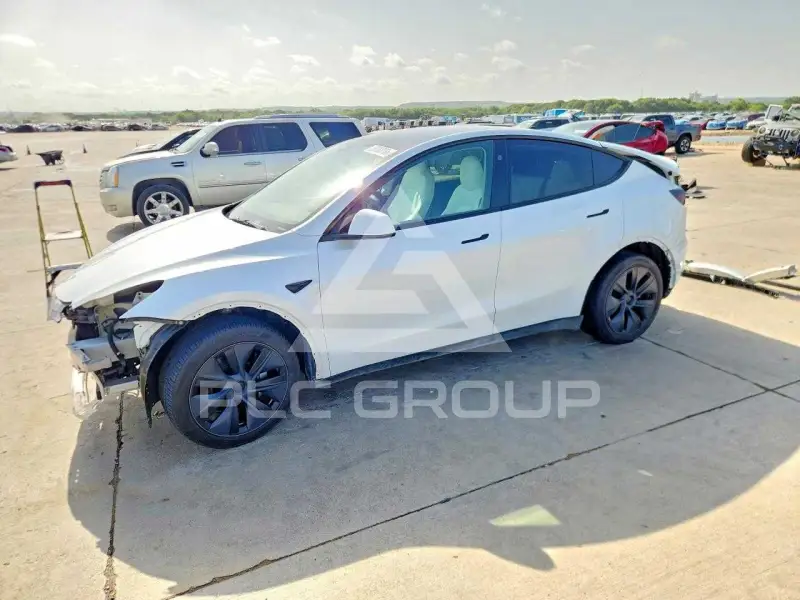 2025 Tesla Model Y photo