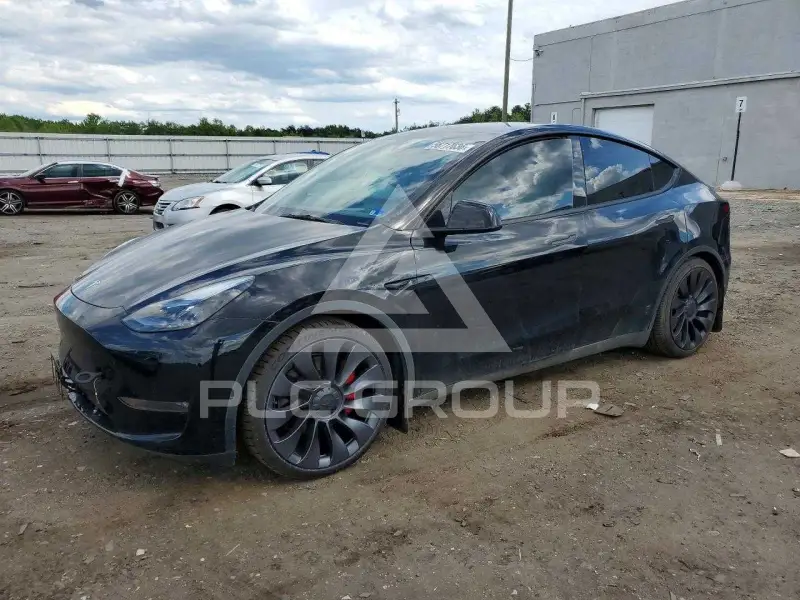 2025 Tesla Model Y photo