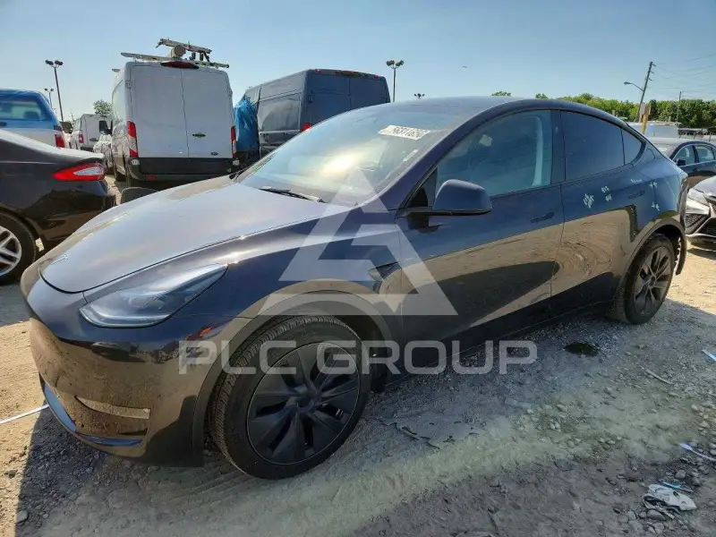 2025 Tesla Model Y фото