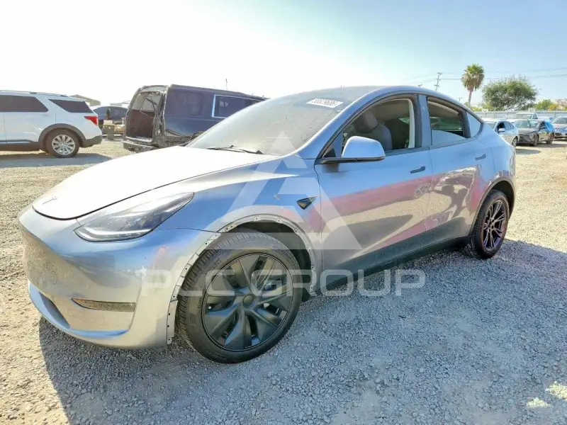 2025 Tesla Model Y фото