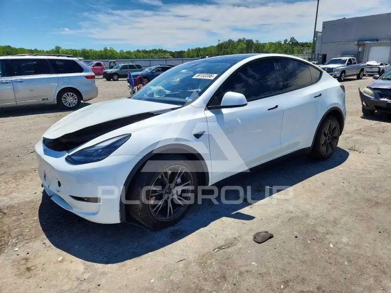 2025 Tesla Model Y photo