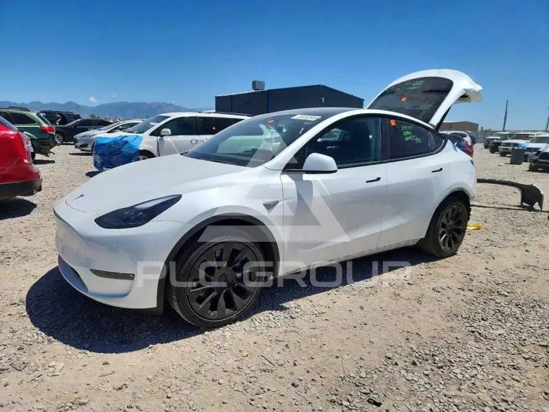 2025 Tesla Model Y фото