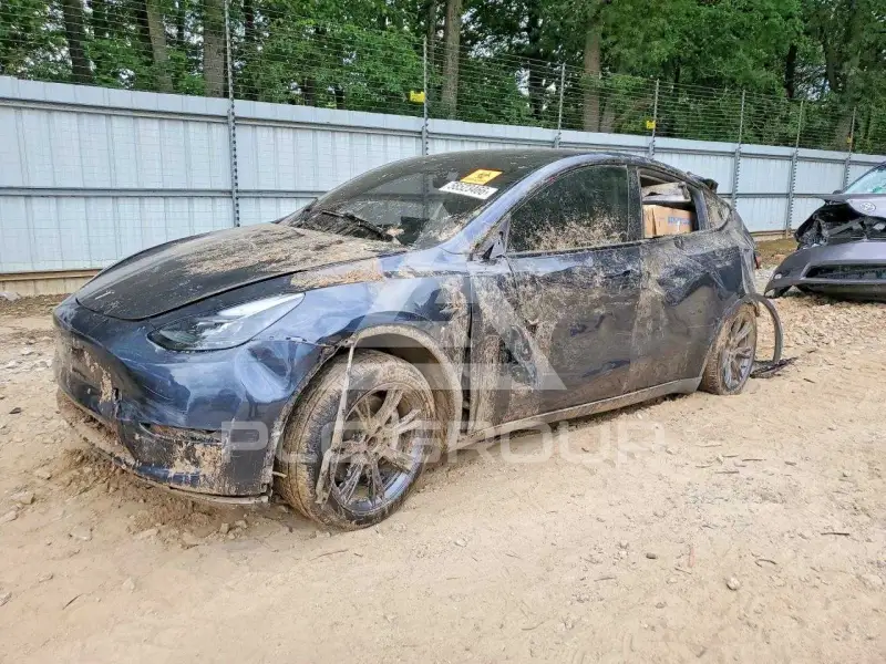 2025 Tesla Model Y photo