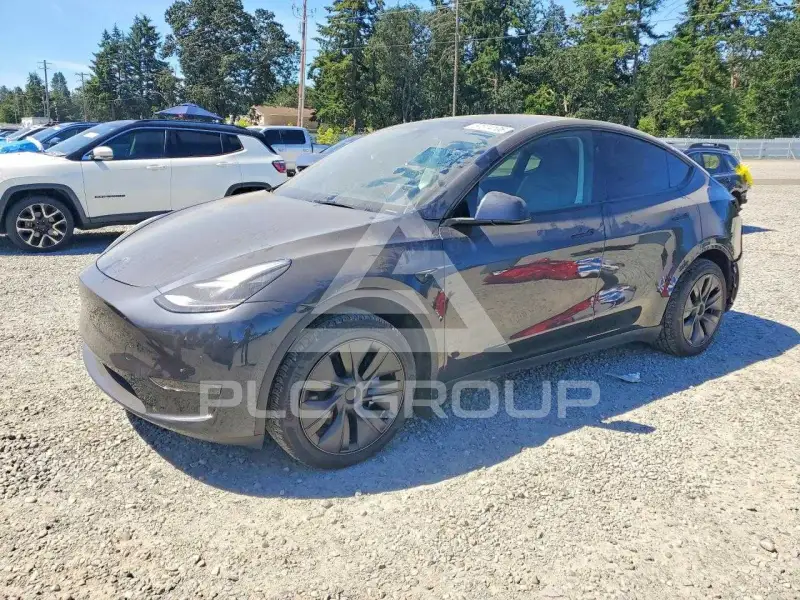 2025 Tesla Model Y photo
