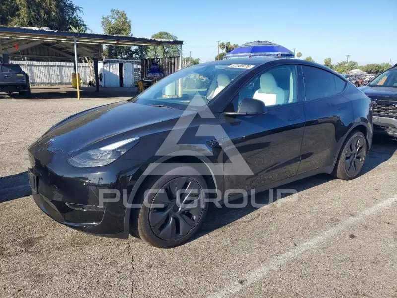 2025 Tesla Model Y фото