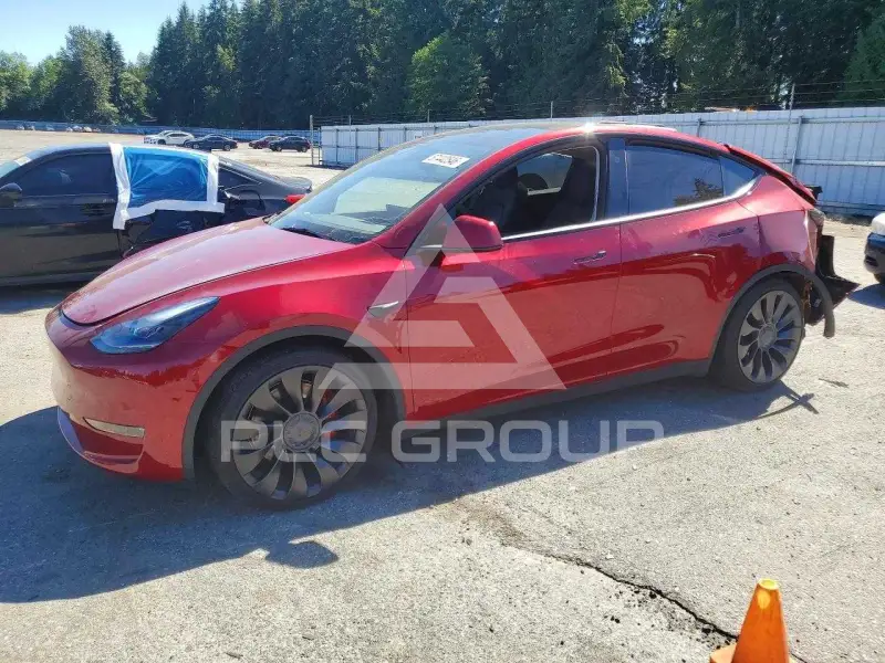 2025 Tesla Model Y фото