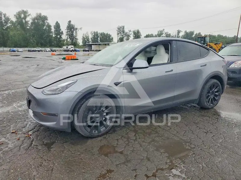 2025 Tesla Model Y photo