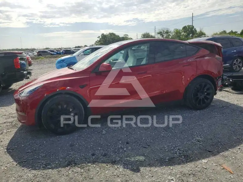 2025 Tesla Model Y photo