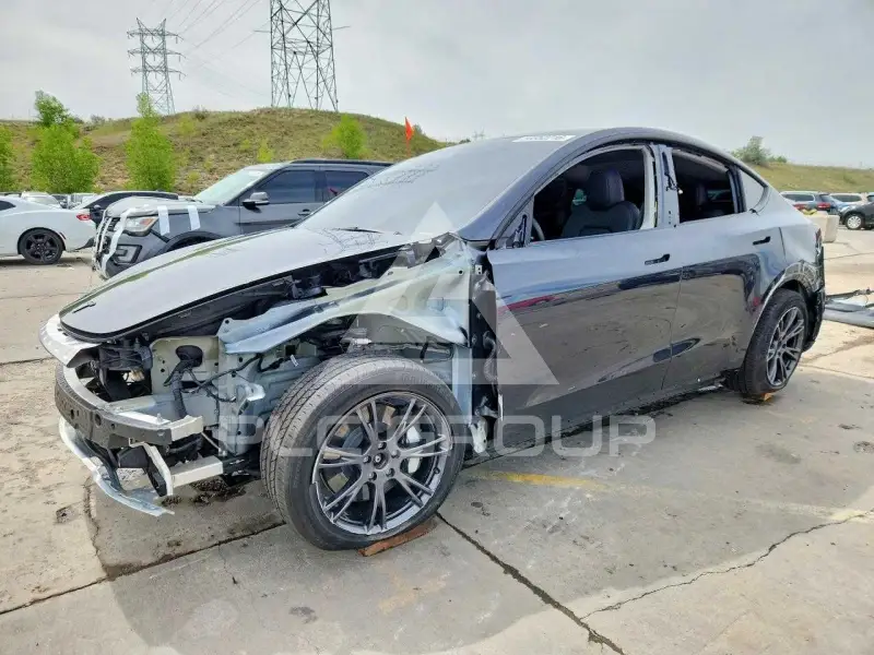 2025 Tesla Model Y photo