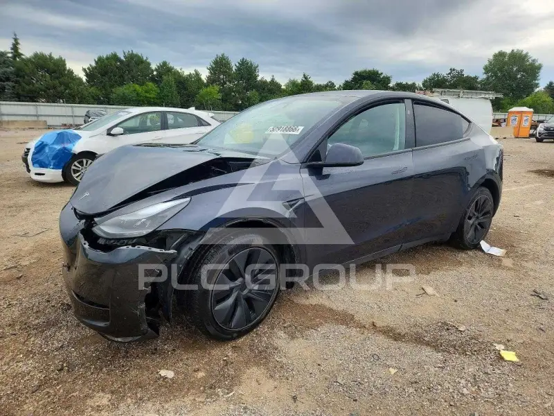2025 Tesla Model Y photo