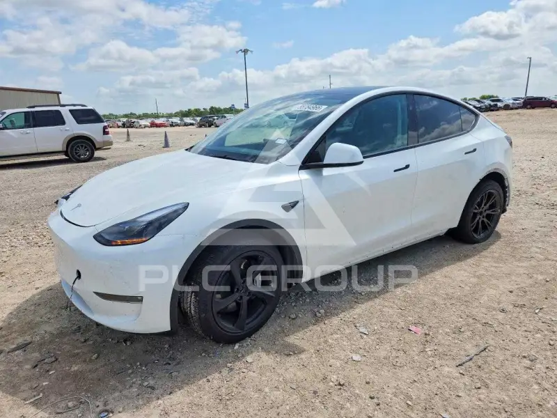 2025 Tesla Model Y фото