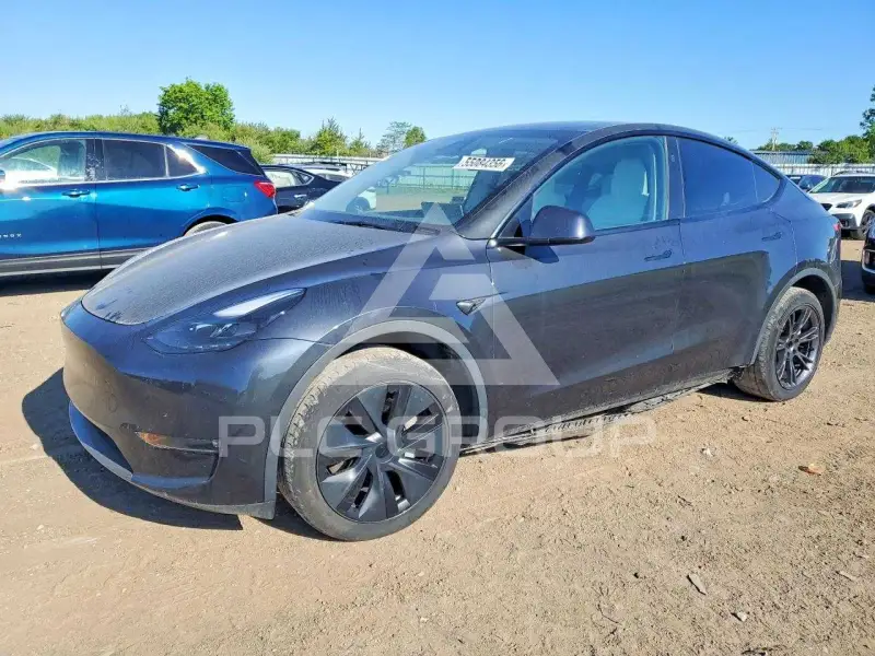 2025 Tesla Model Y фото