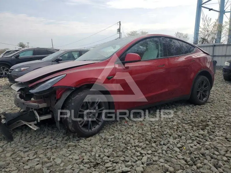 2025 Tesla Model Y photo