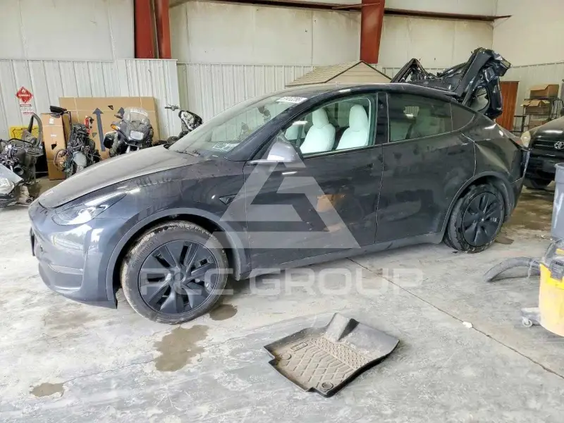 2025 Tesla Model Y photo