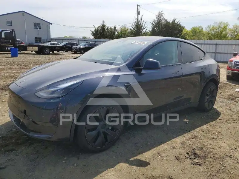 2025 Tesla Model Y photo