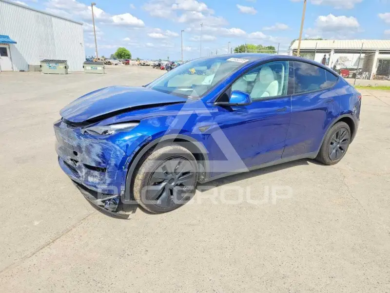 2025 Tesla Model Y photo