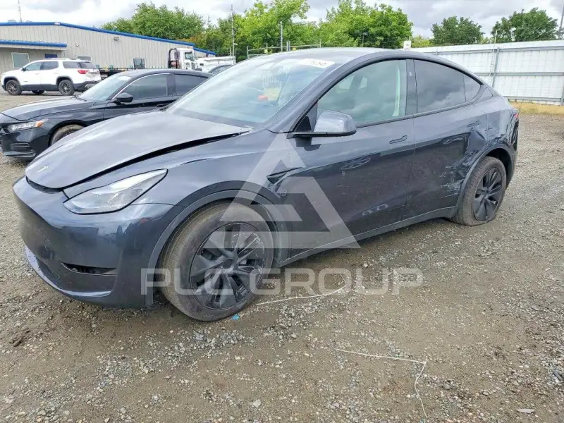 2025 Tesla Model Y photo