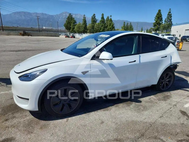 2025 Tesla Model Y photo