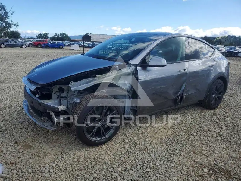 2025 Tesla Model Y фото