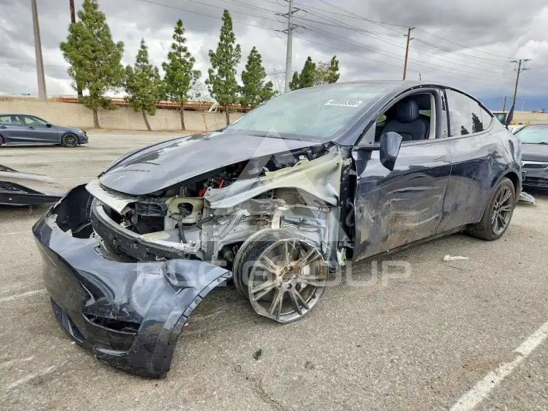 2025 Tesla Model Y photo