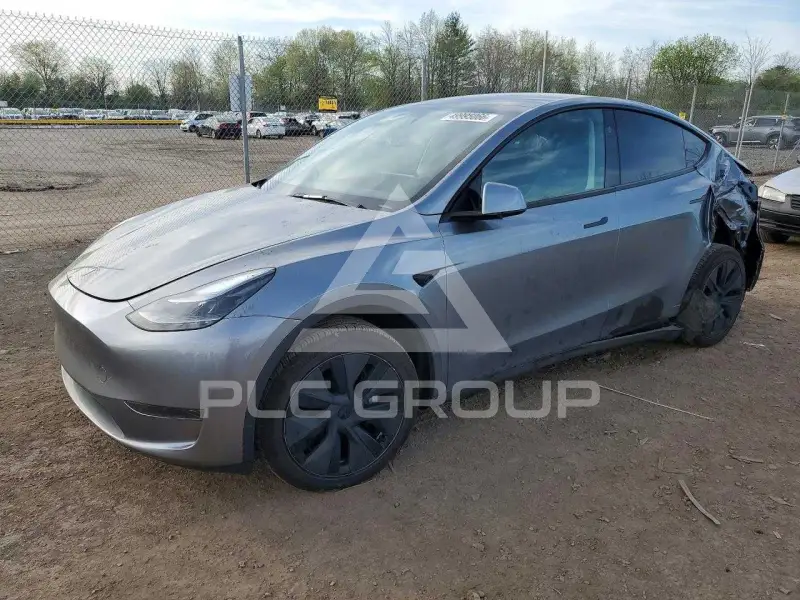 2025 Tesla Model Y photo