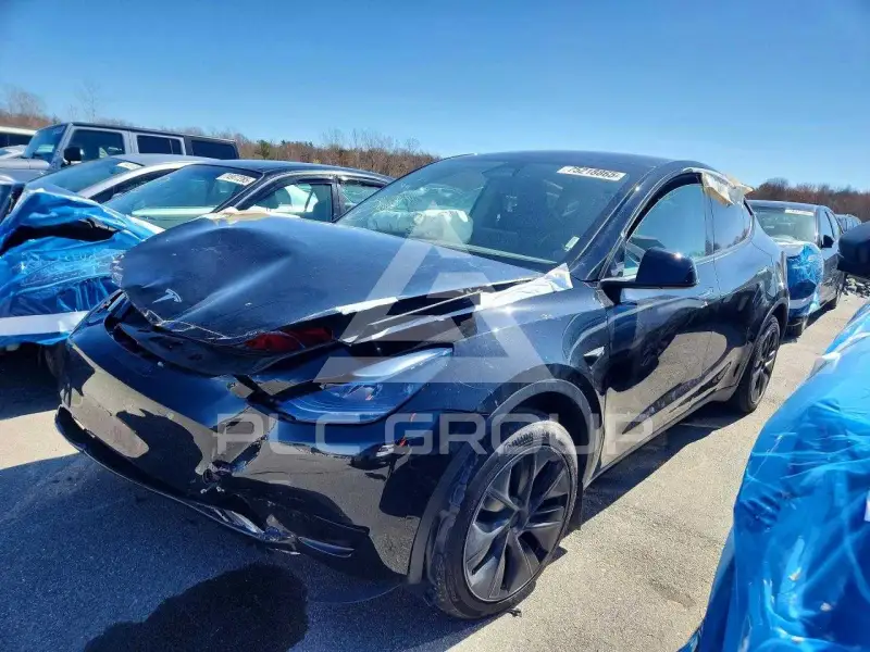 2025 Tesla Model Y фото