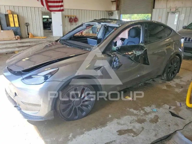 2025 Tesla Model Y photo