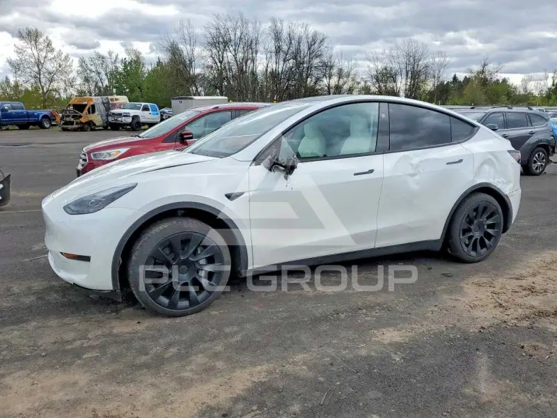 2025 Tesla Model Y photo