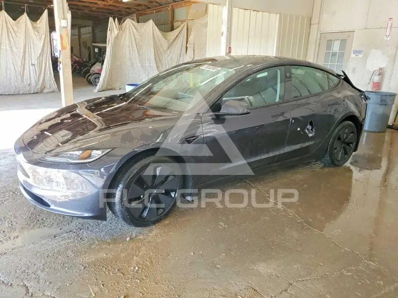 2025 Tesla Model 3 photo