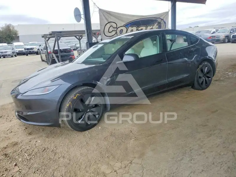2025 Tesla Model 3 photo