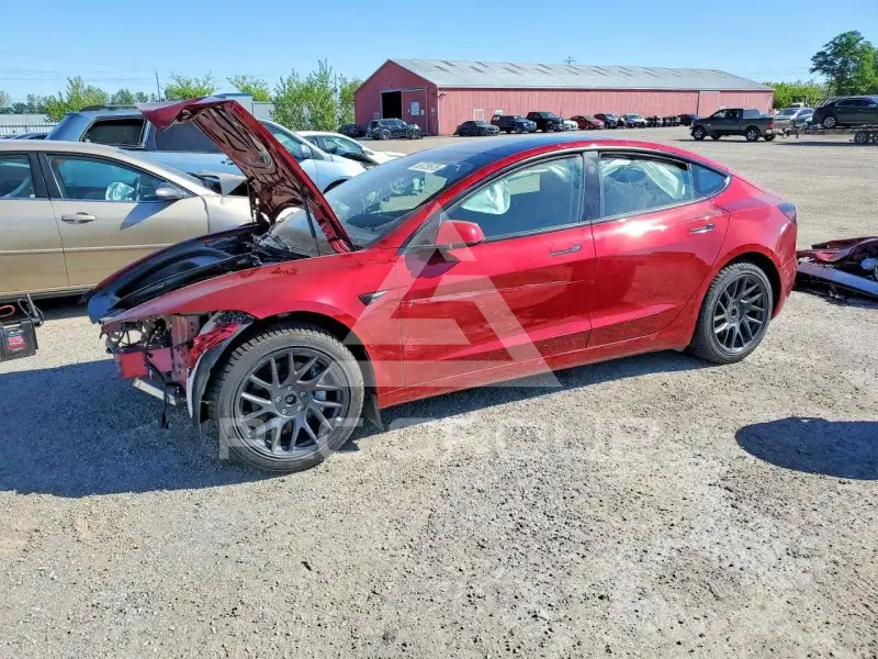 2025 Tesla Model 3 photo
