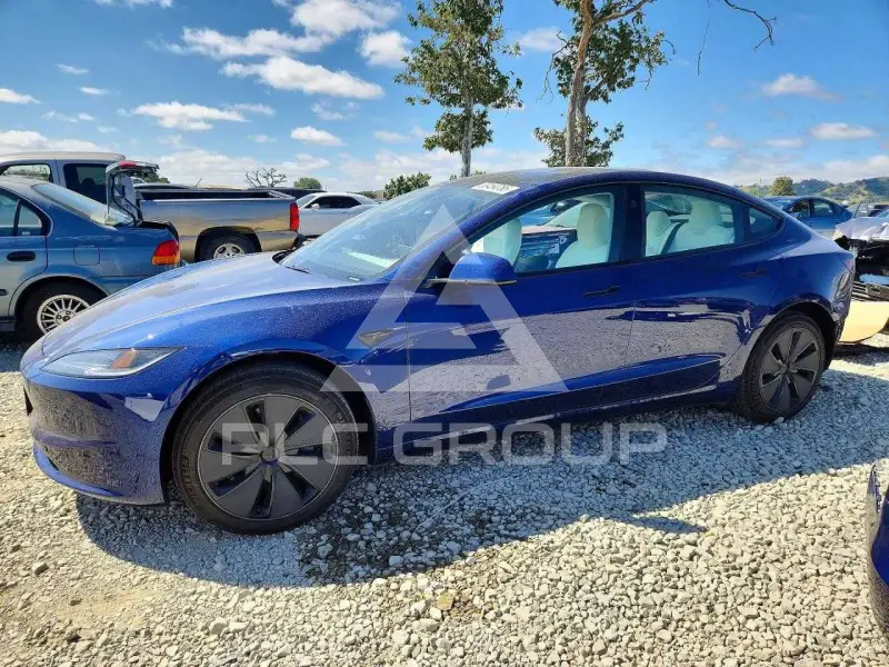 2025 Tesla Model 3 photo